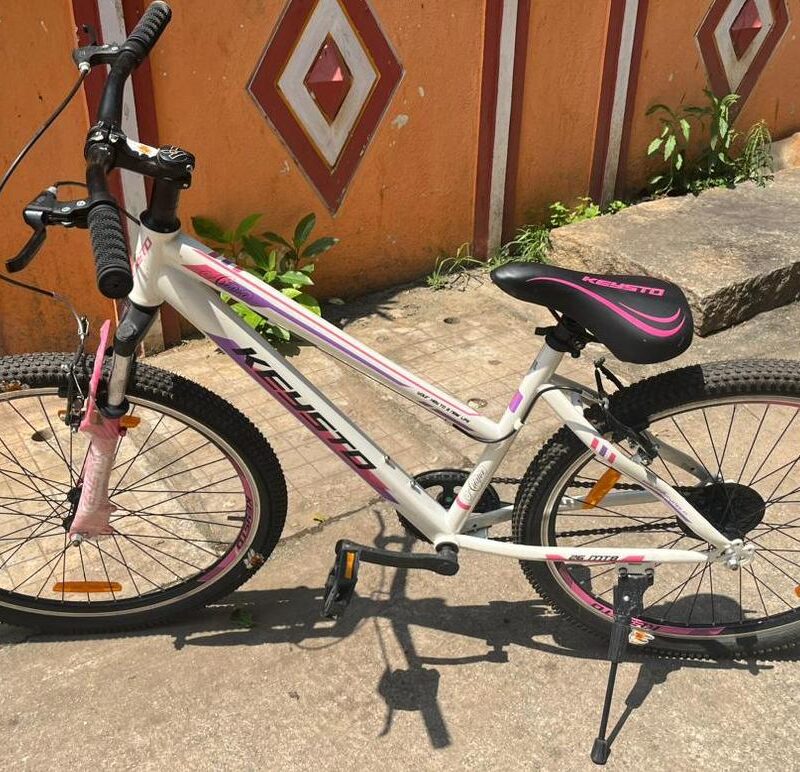 Size 15 clearance bike